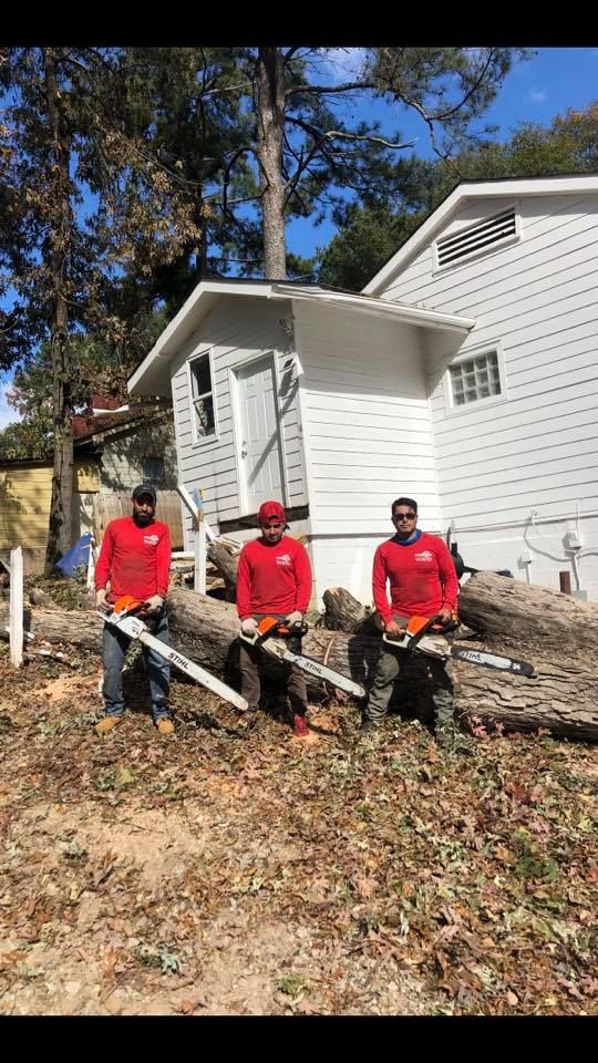 Tree Removal for Falcon stump grinding Tree services in Loganville, GA