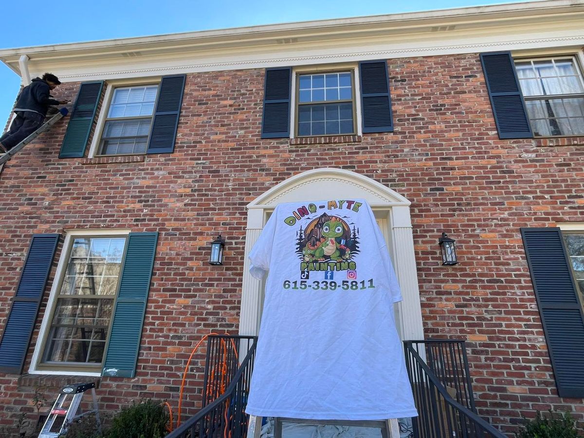 Pressure Washing for DinoMyte Painting in Gallatin, TN