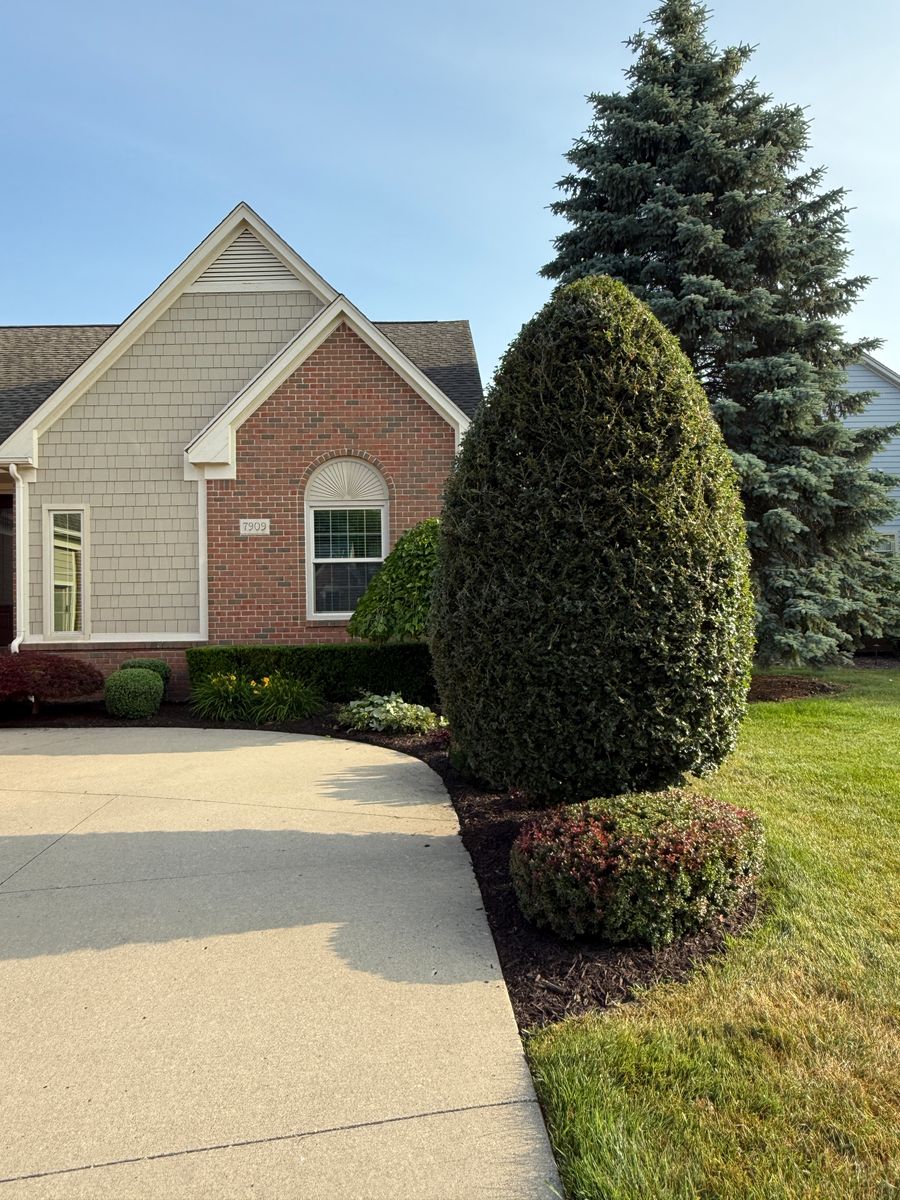 Shrub Trimming for Denali Outdoor Services in Washington, MI