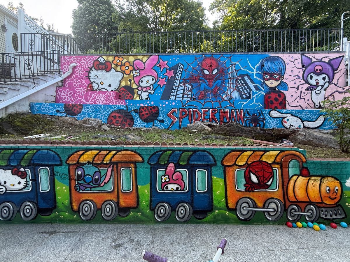 Commercial Murals for ANAEME in New York, NY