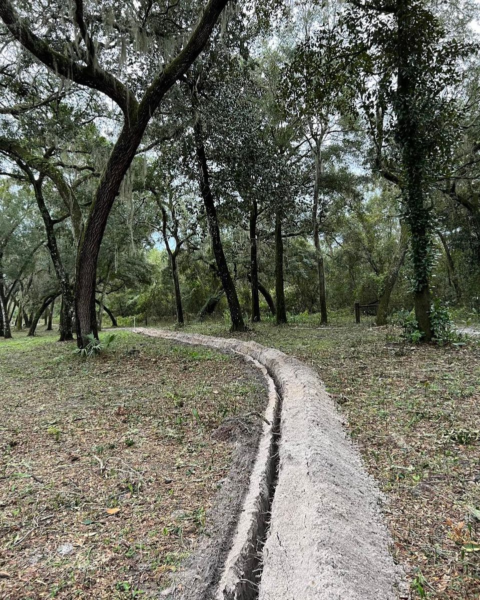 Forestry Mulching for CJ Dirtwork in Crescent City, FL