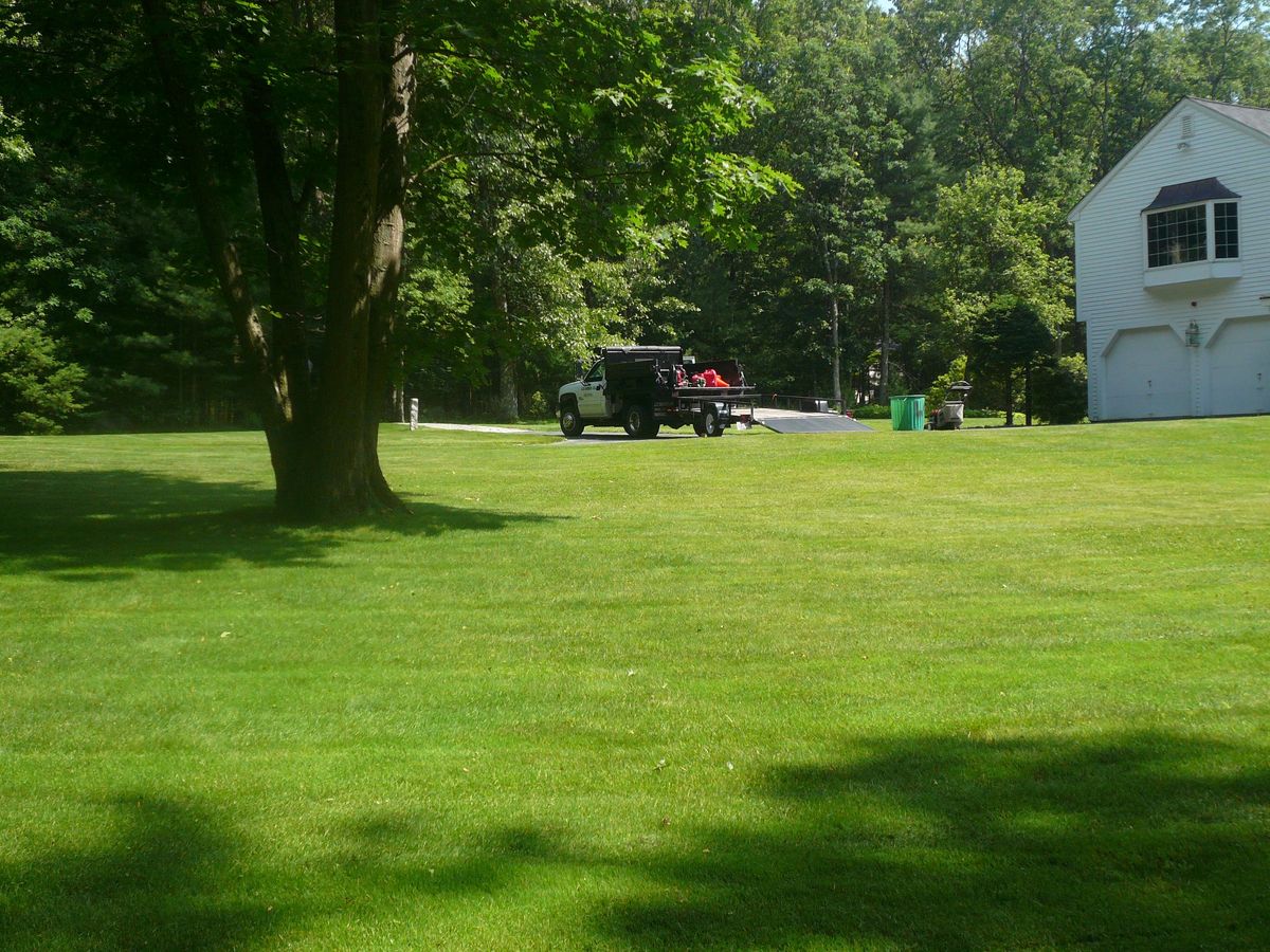 Landscaping for LCO-GREEN Home Remodeling & Landscaping in Boston, MA