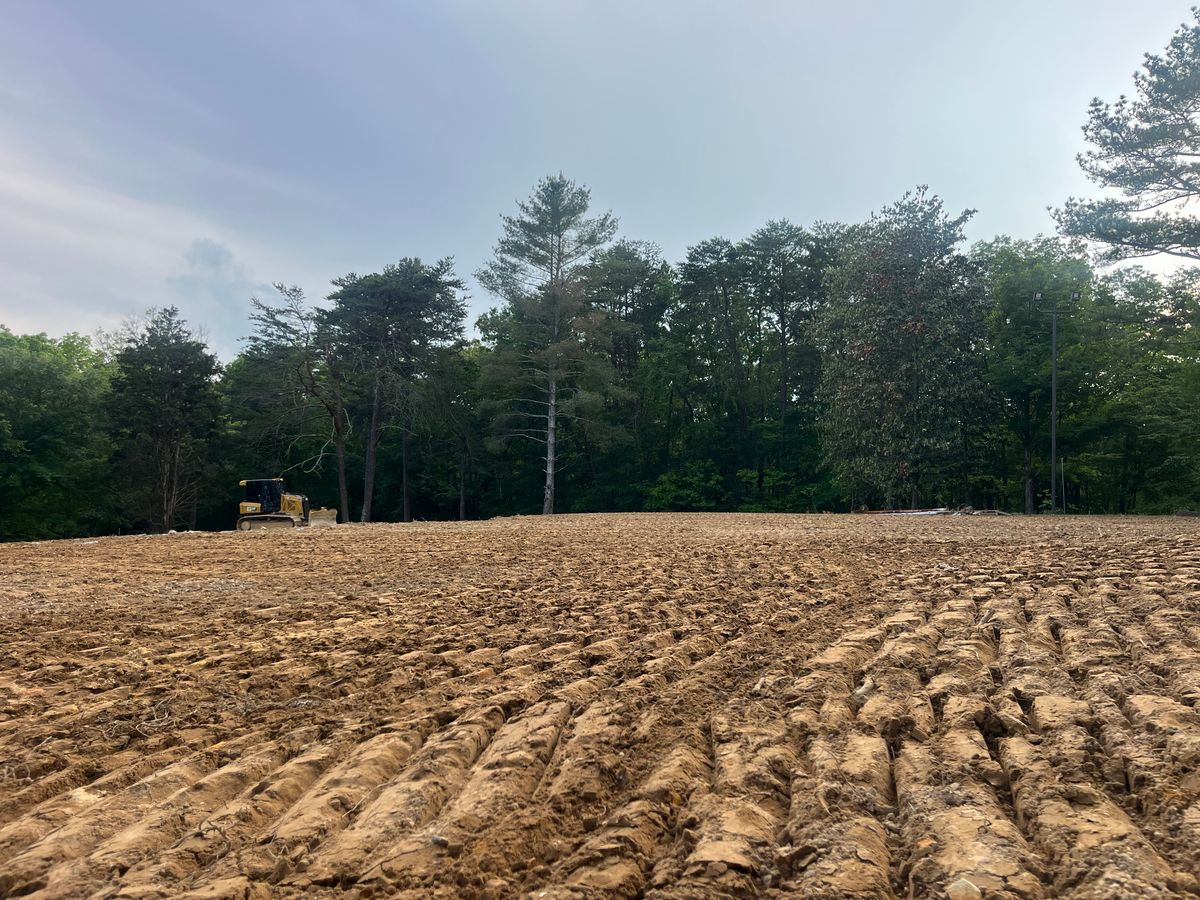 Property Grading for Collins Constructors in Fyffe, AL