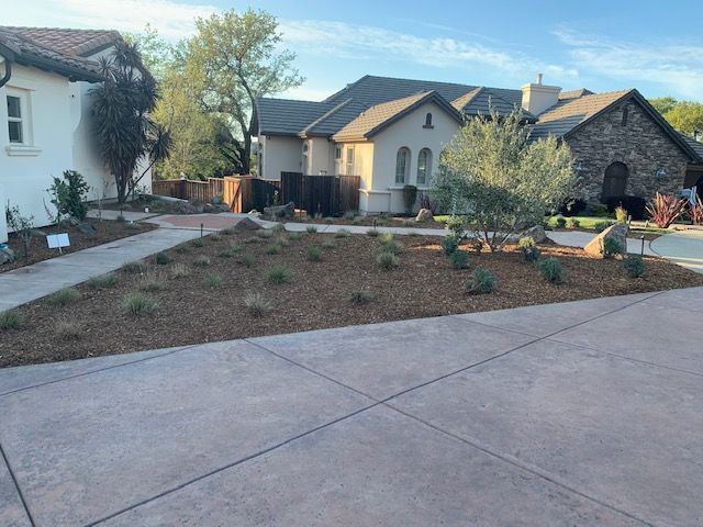 Drought Tolerant Landscapes / Xeriscapes for Blue Water Landscape Services in El Dorado Hills, CA