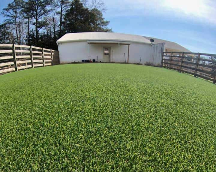 Artificial Grass for Bay Area Landscape Solutions in Novato, CA