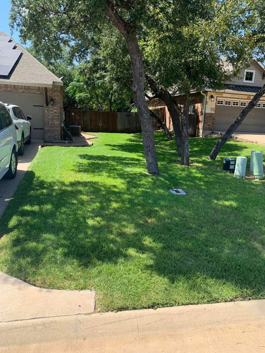 Other Lawn Services for Scalpel Lawn Service in Temple, TX
