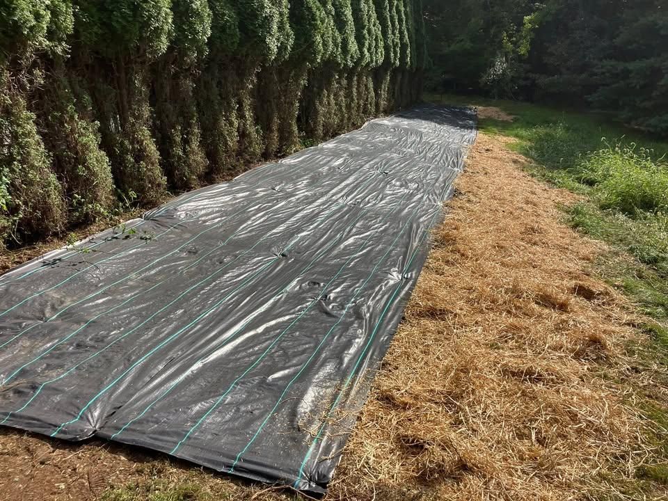 Landscaping for 9999 Building and Renovation LLC in Warrenton, VA