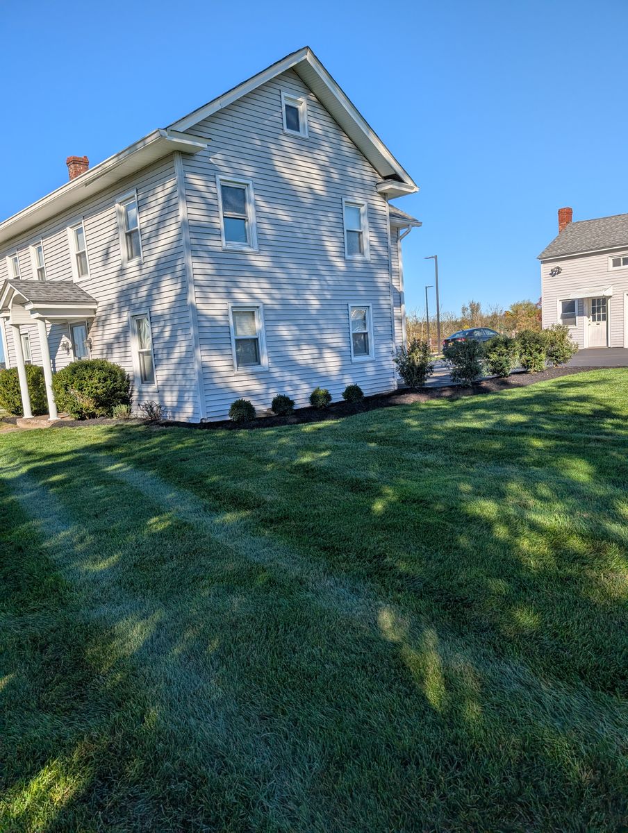 Privacy Plantings for Ettere Landscape Services in Flemington, NJ