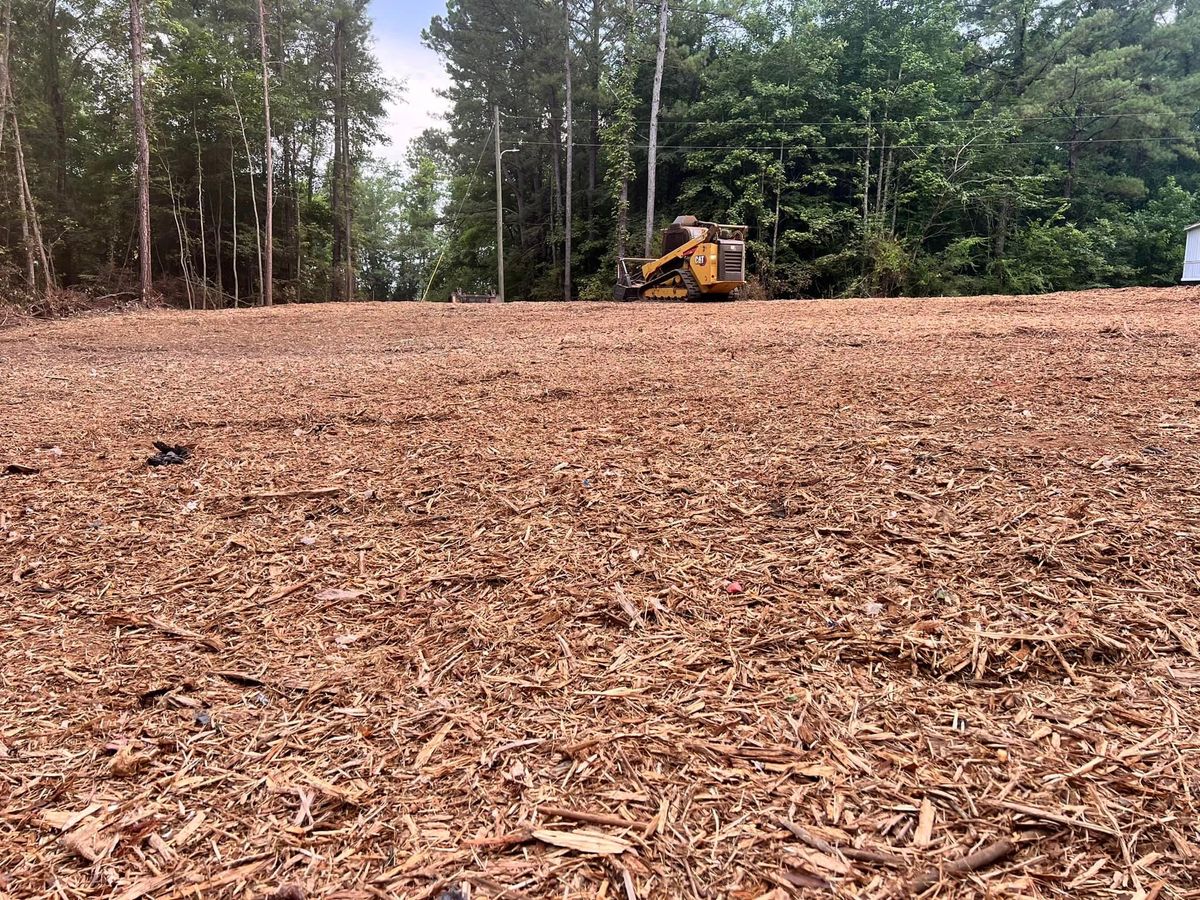 Forestry Mulching for Conway Land Management in Chatom, AL