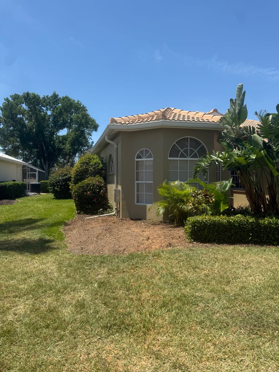 Palm Pruning for Damian’s Tree Care in Sarasota, FL