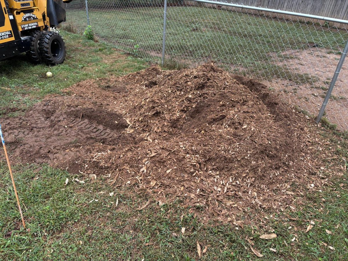 Stump Removal for Conrad's Stump Removal in Columbus, IN