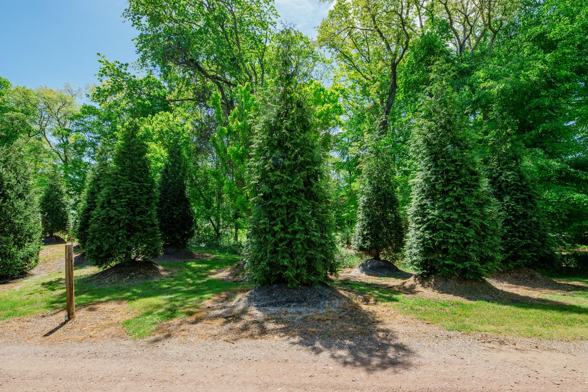 Green Giant Nursery for  in Morristown, NJ