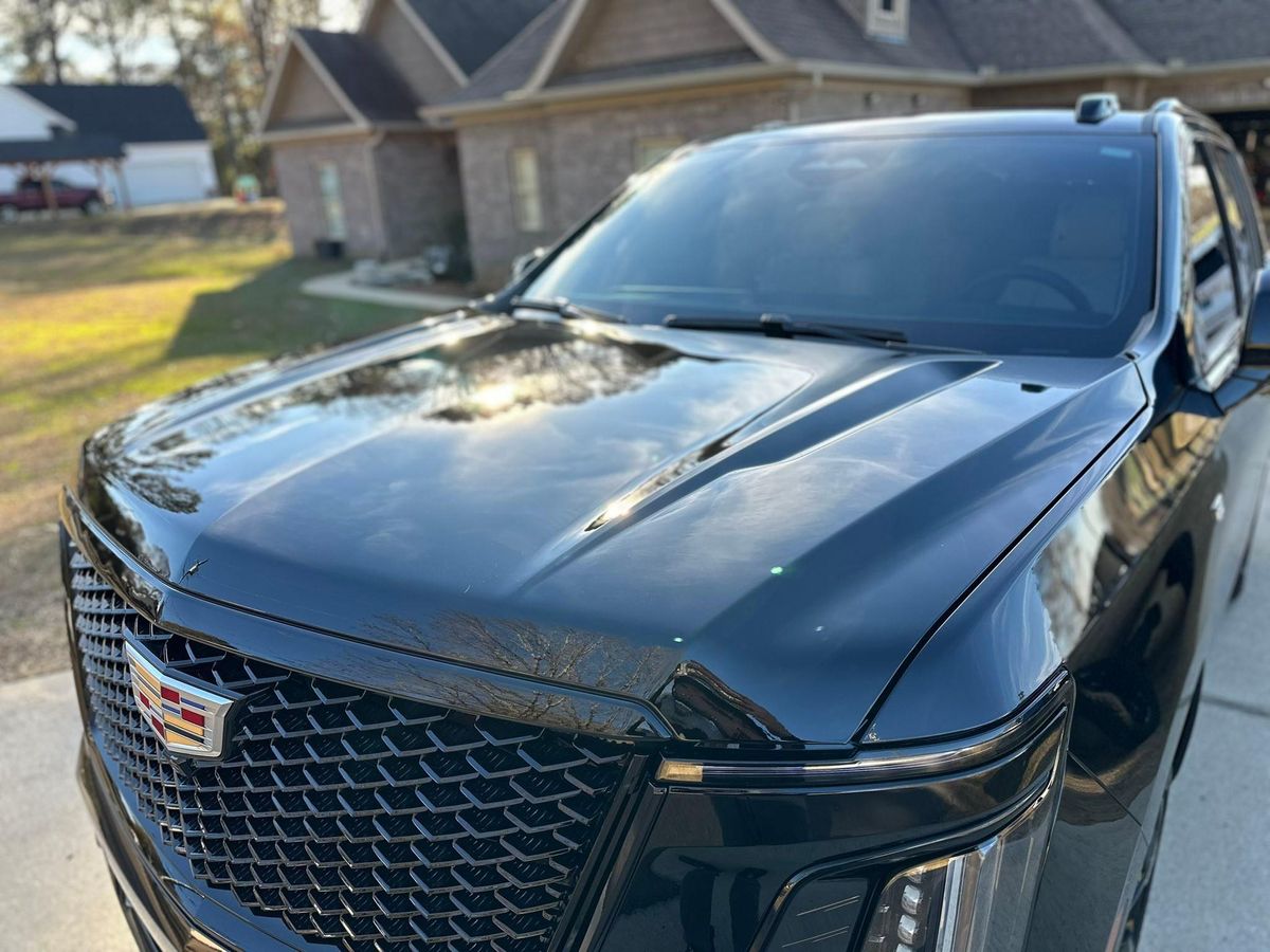 Exterior Detailing for Hollywood Detail in Northport , AL