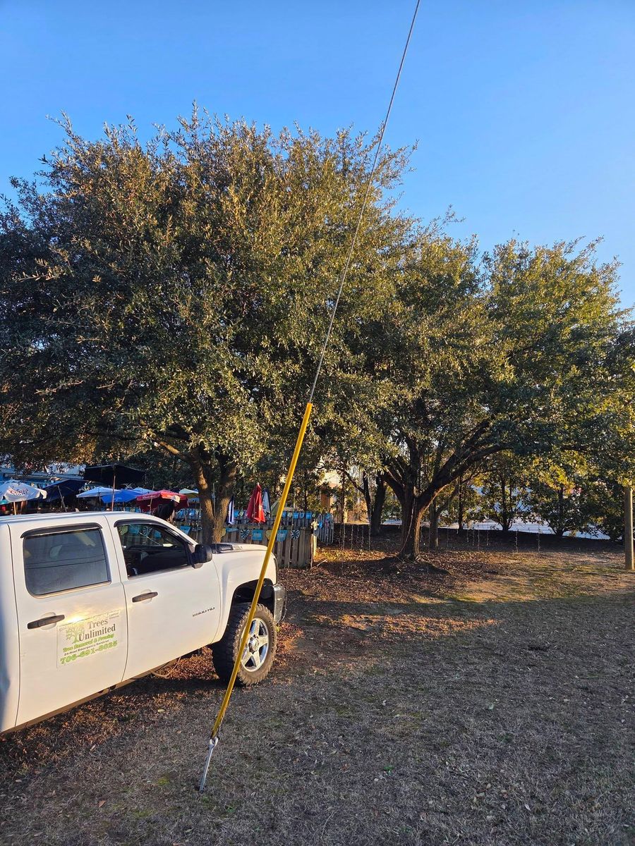 Tree Removal for Trees Unlimited of the CSRA in Augusta, GA