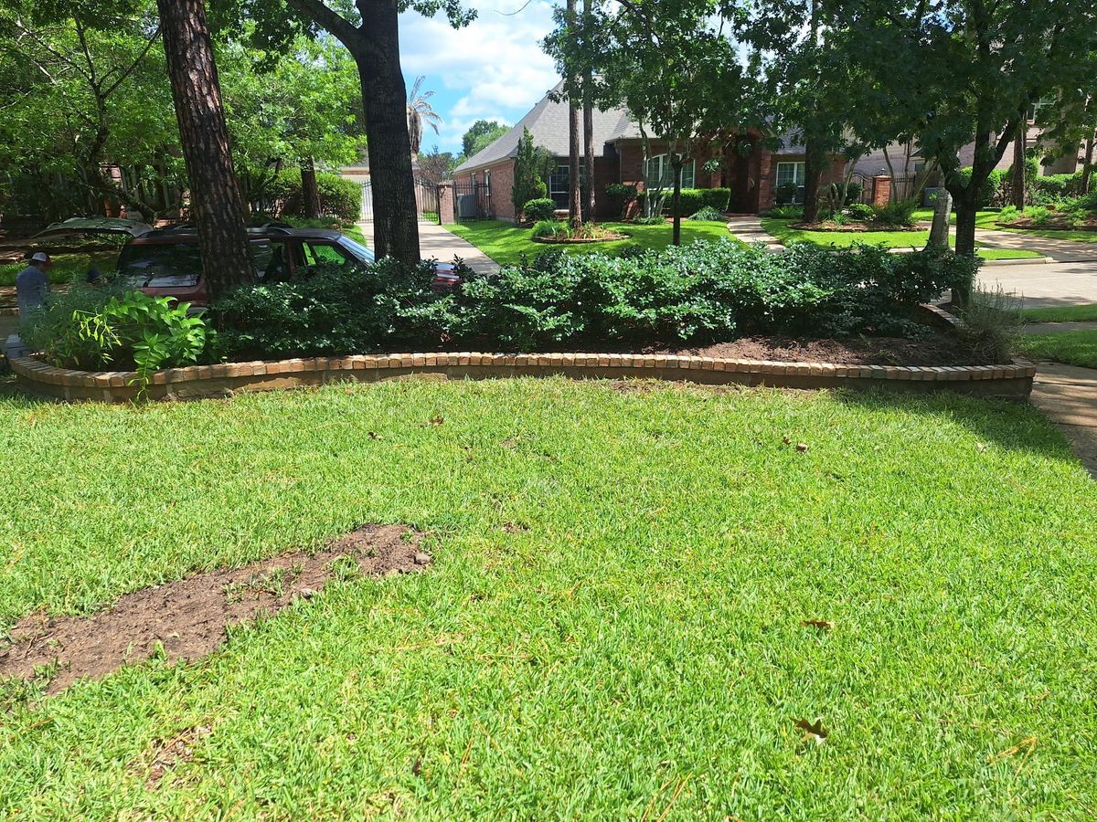 Landscape Installation for Lonestar Masonry in Pasadena, TX