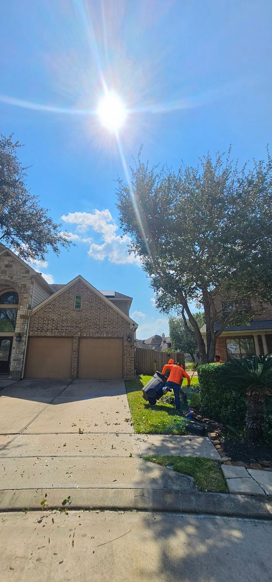 Tree Trimming for Servin's Tree Care  in Houston, TX