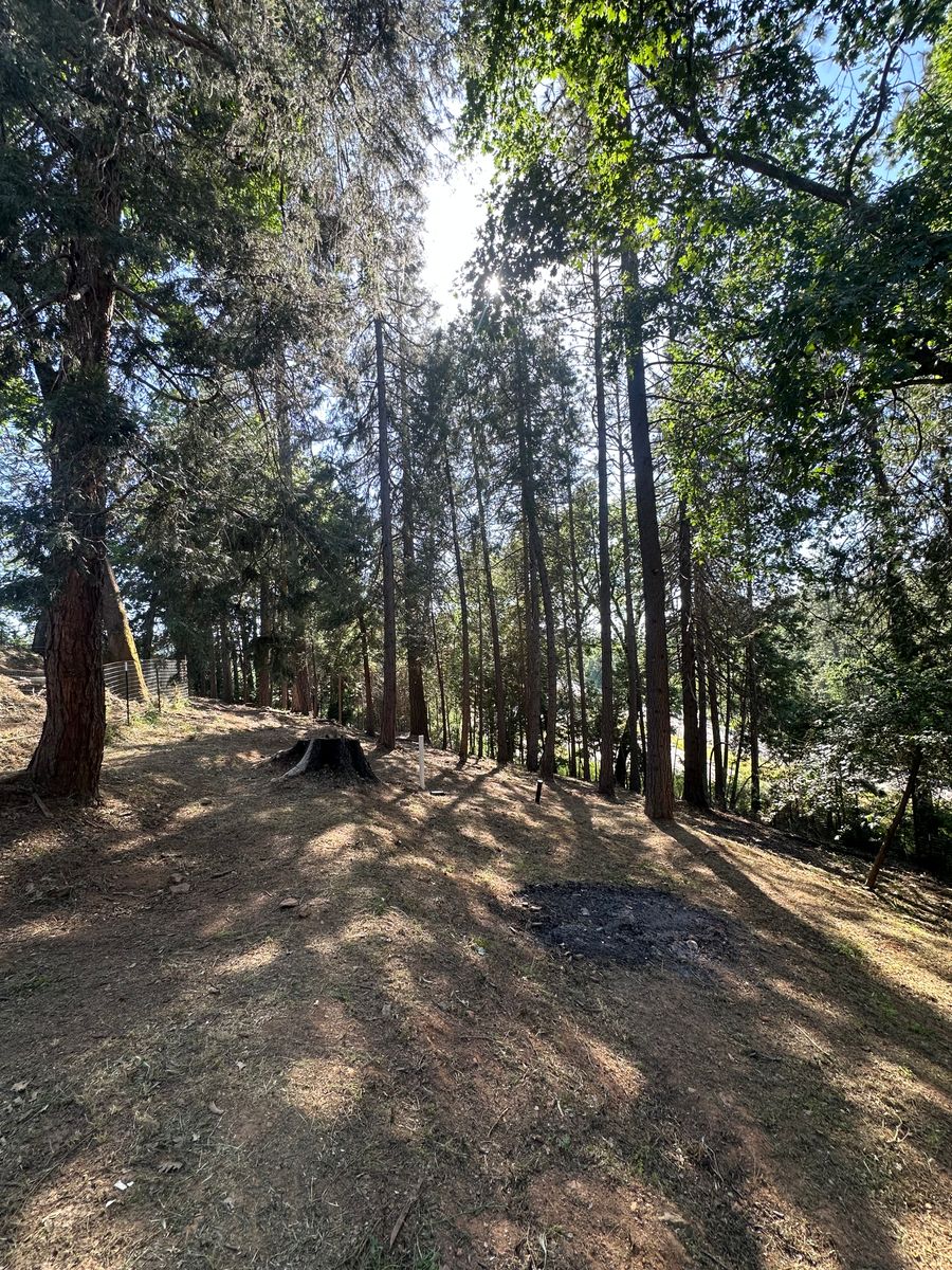 Defensible Space for Tyco Forest Management in Placerville, CA