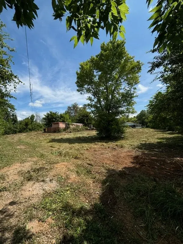 Brush Clearing for Three Rivers Dirt Works LLC in Knoxville, TN