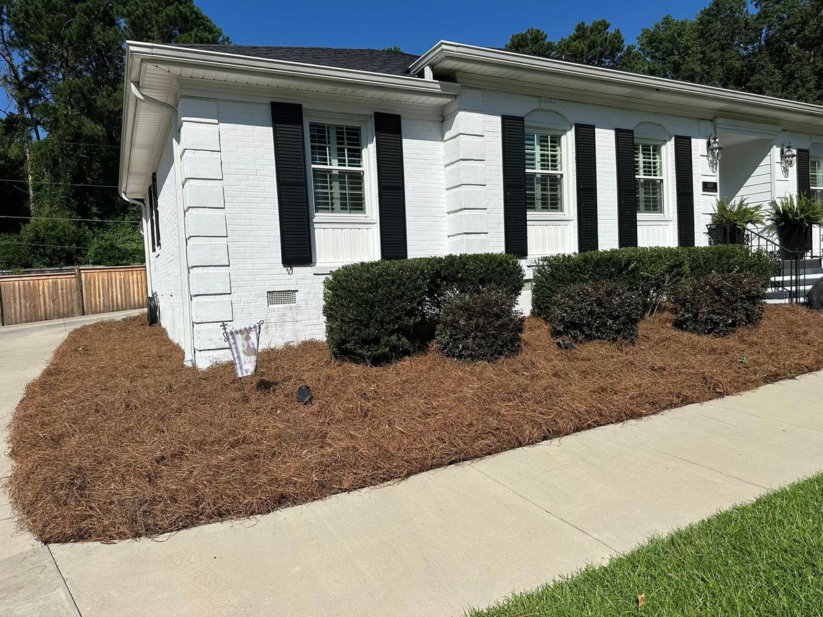 Shrub Trimming for S&D Lawn & Landscape LLC in Gilbert, SC