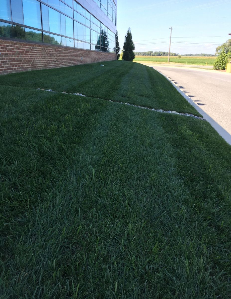 Complete Lawn Renovation for Solid Ground Outdoor Living Solutions in Seaford, DE