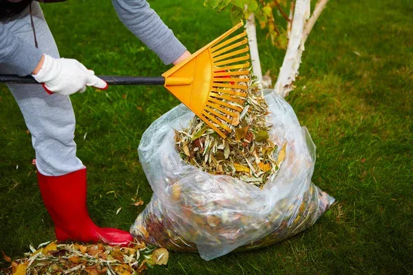 Leaf Removal for Weimer Cleaning Service in Charlotte, TN