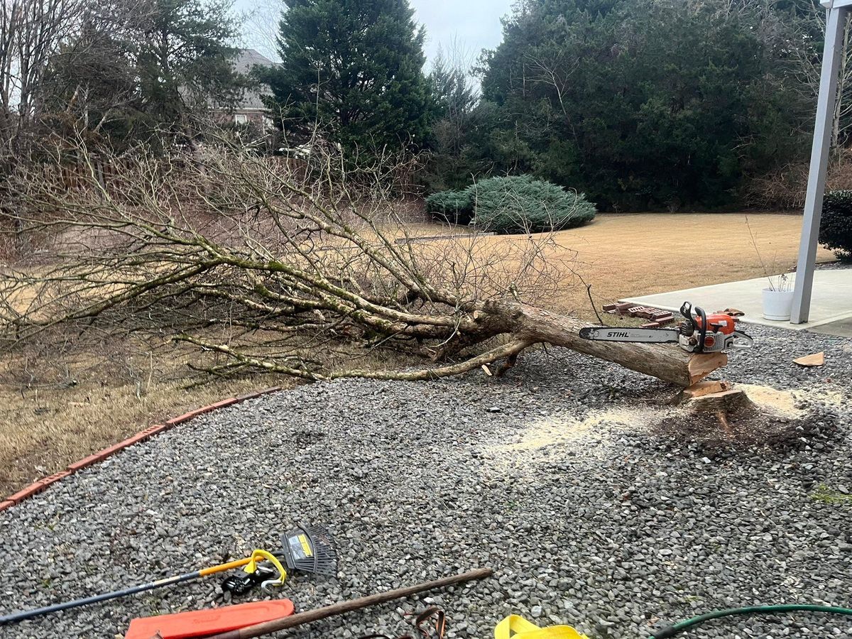 Junk Removal for Southern Solutions in Snellville, GA