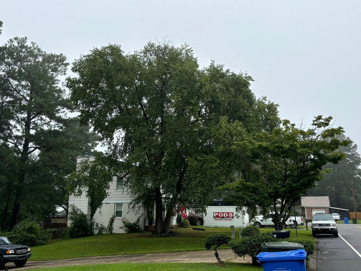 Tree Removal for Total Tree Care in Erwin, North Carolina
