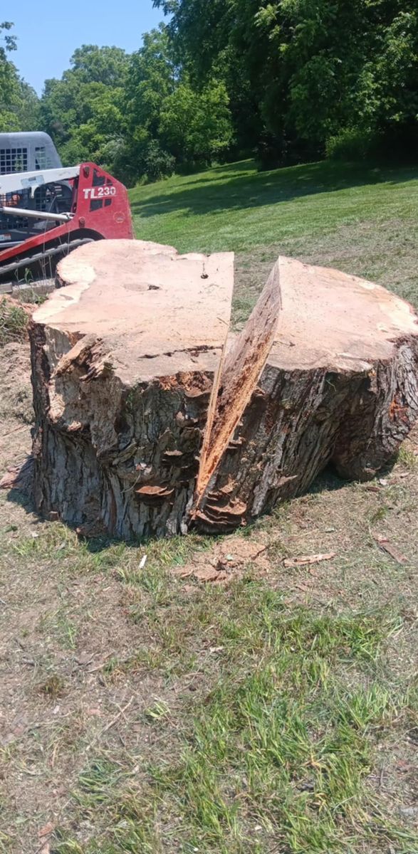 Tree Removal for Lawn Ranger Yard And Tree Service LLC in Ottumwa, IA