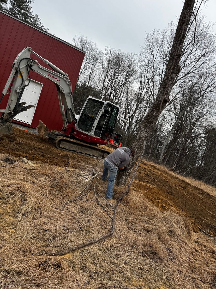 Tree Removal for Leal’s Lawn Service and Excavation in Dayton, TN