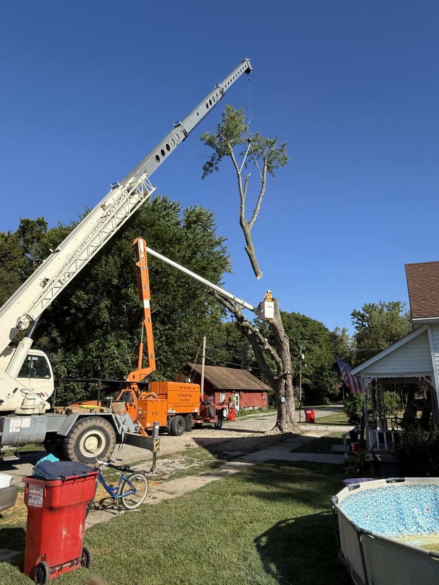 Tree Removal for Advanced Tree Solutions in Rockville, IN