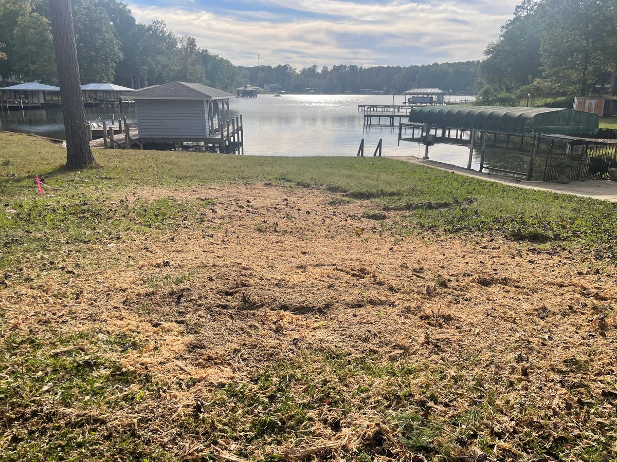 Stump Removal for MJB’s Stump Grinding LLC in Tennille, GA