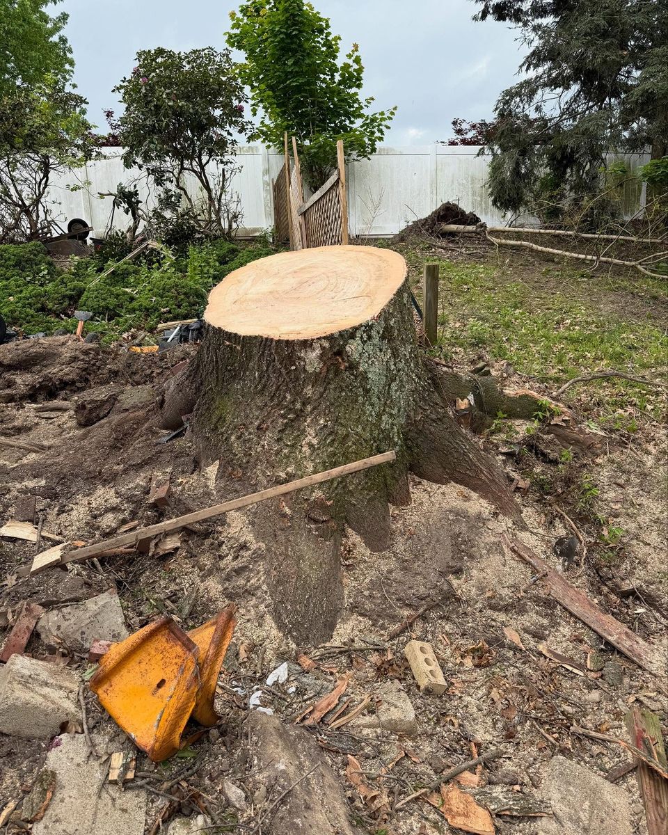 Tree Removal for Mark's Multiple Landscaping in Pittsburgh, PA