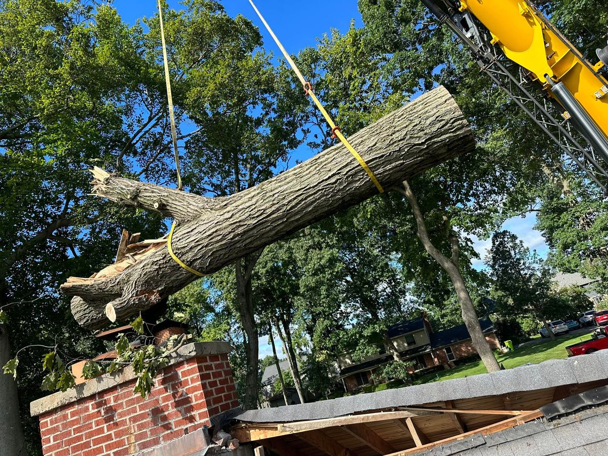Tree Removal for DGD Outdoor Services LLC in Howell, MI