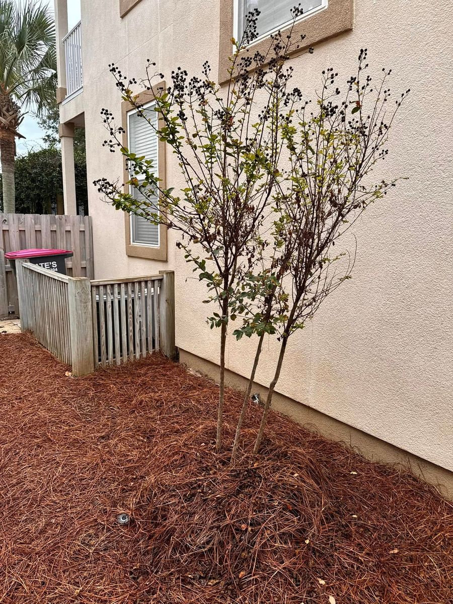 Mulch Installation for M&M Landscaping in Lynn Haven, FL