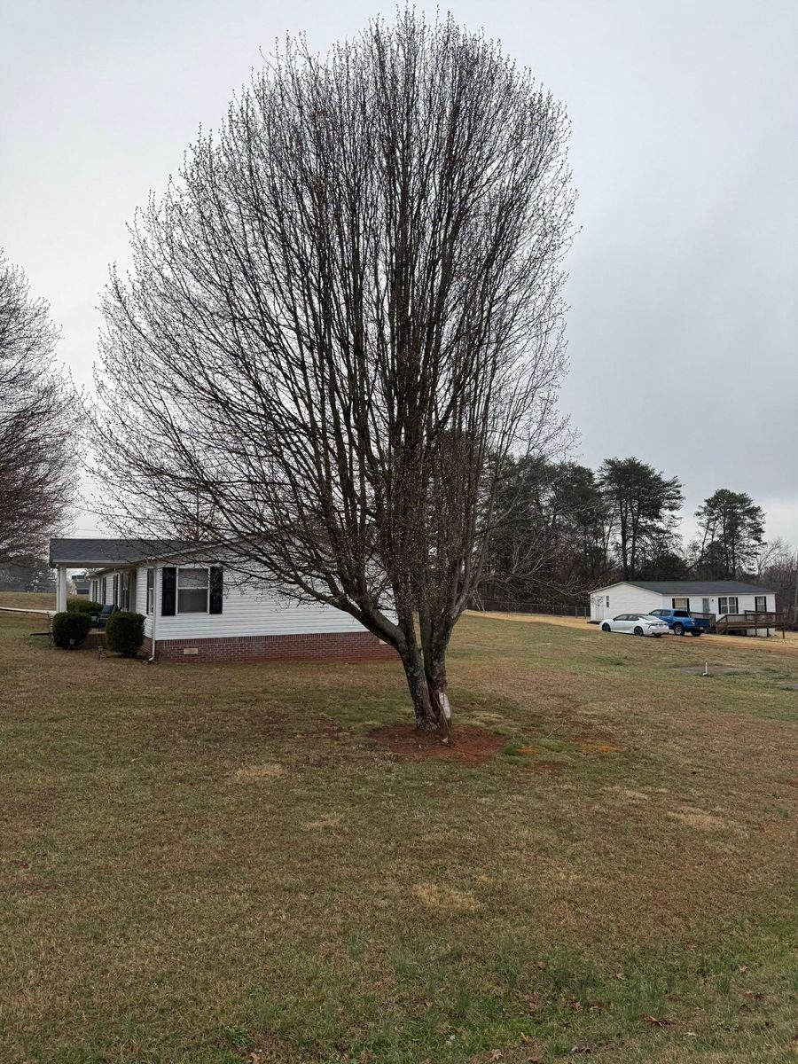 Outdoor Projects for Quartz Creek in Claremont, NC