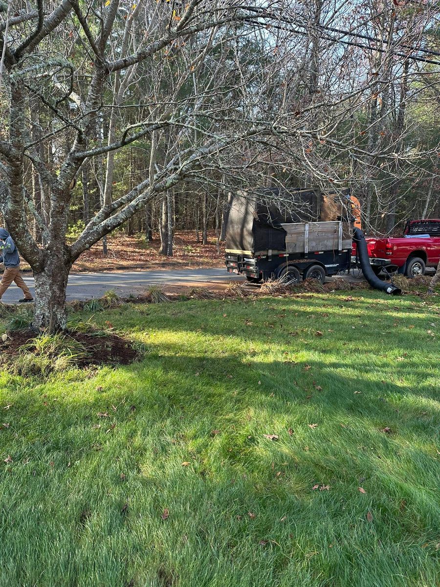 Tree Trimming for Silver City Tree and Landscape in Taunton, MA