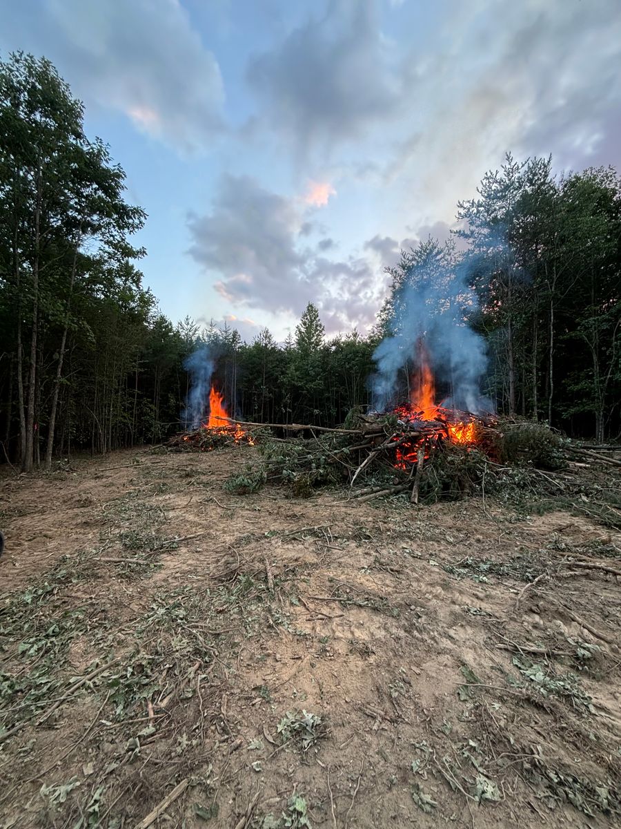 Forestry Mulching for TD Dirtworks in Tracy City, TN