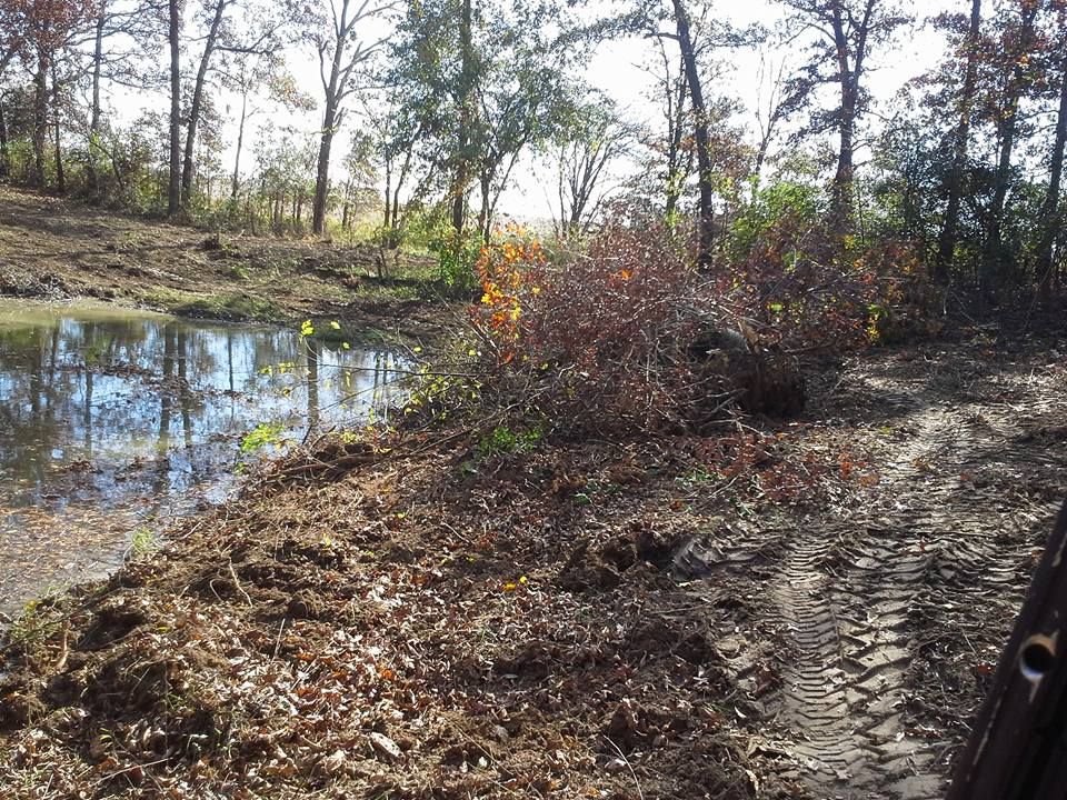 Tree Line Cleanups for BDS Trucking & Excavating in Litchfield, IL