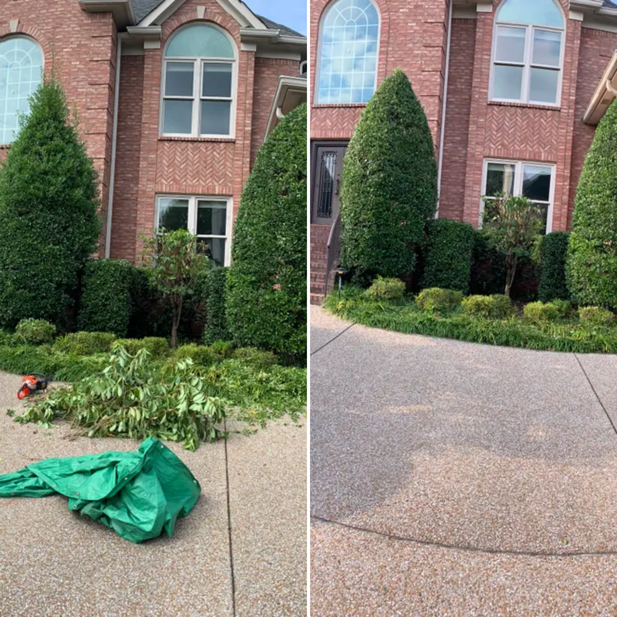 Shrub Trimming for Russell's Lawn Care Plus in Nashville, TN