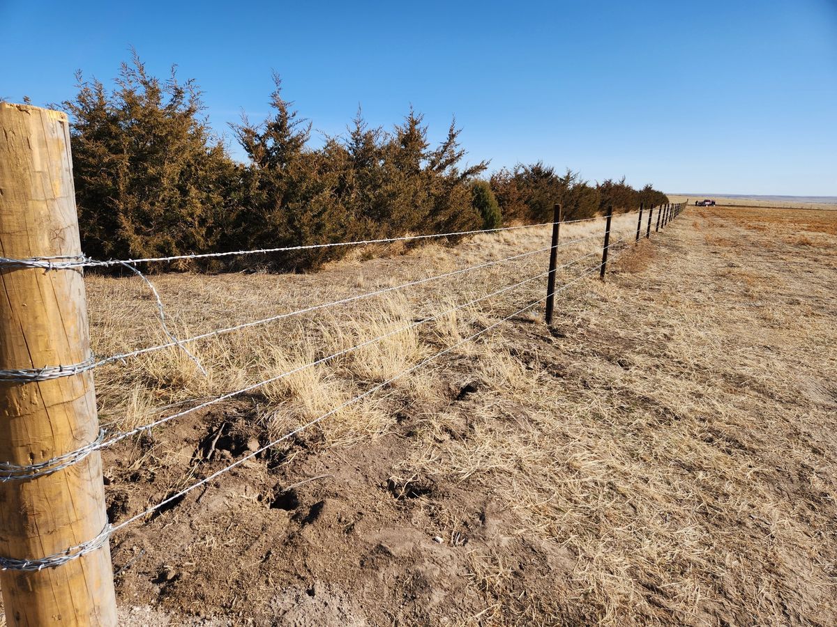 Chain-Link Fencing for M&N Fencing in Crook, CO