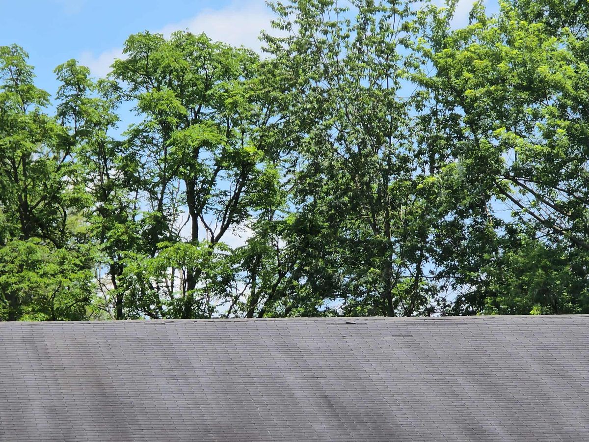Roofing Replacement for Frontline Roofing & Home Services in Shelbyville, KY