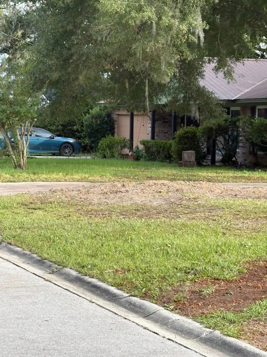 Stump Removal for Stumps done right LLC in Middleburg, FL