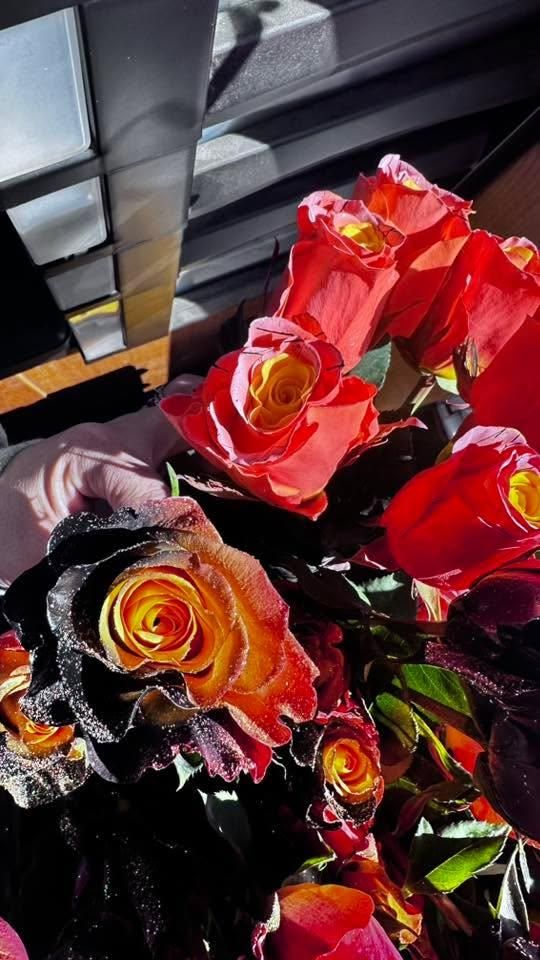 Medium Hand-tied Bouquet for The Dailey Daisy in Hardwick, VT