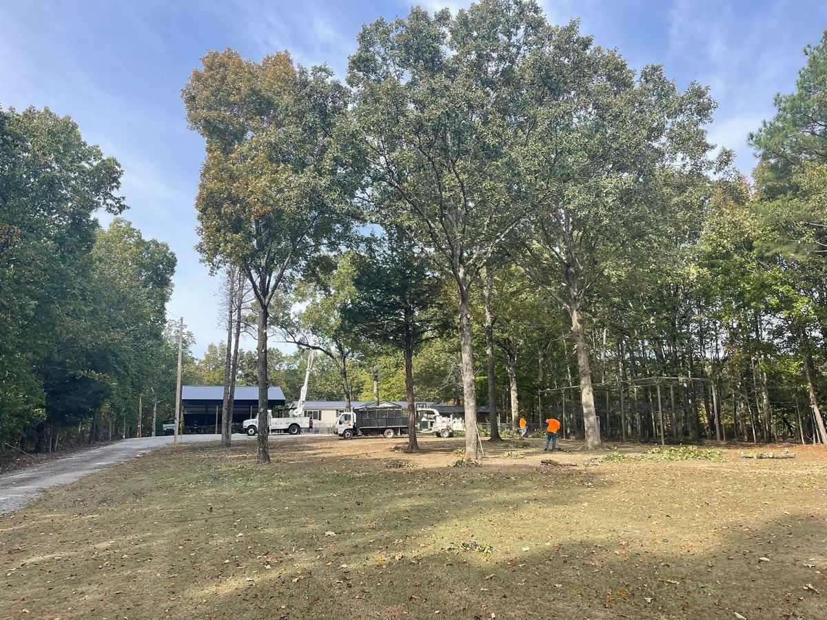 Tree Trimming for Ross Family Tree Service LLC  in Hohenwald, TN