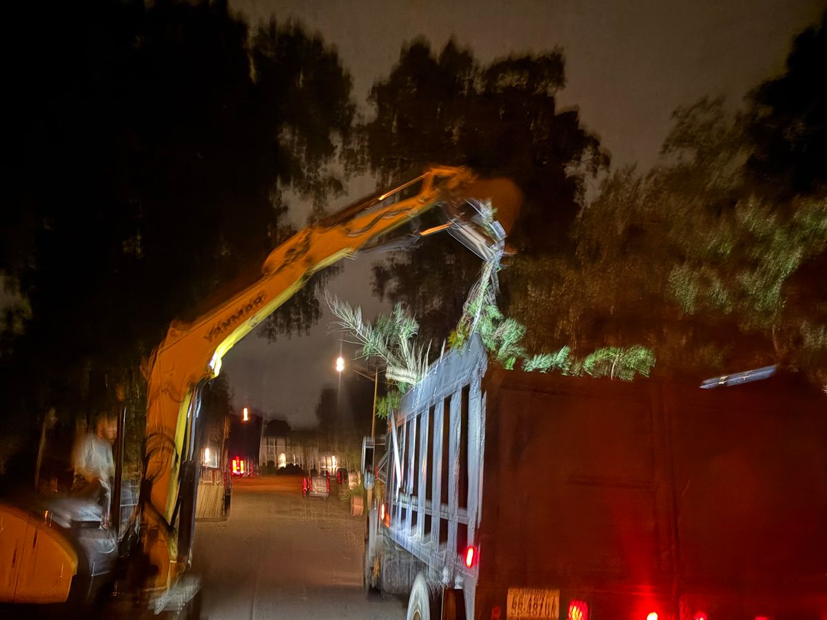 24 Hour Emergency Tree Removal for Tidewater Tree Service in Chesapeake, VA