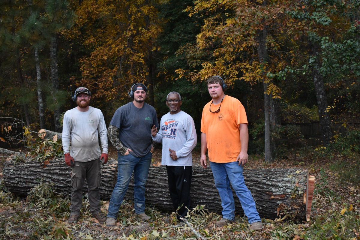 Fall Clean Up for T N L - Tree and Land Service in Reynolds, GA