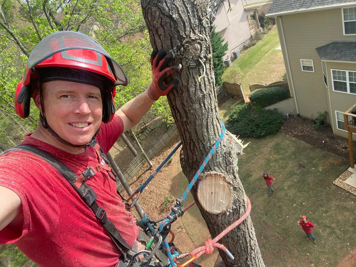 Tree Trimming for Pinedown LLC in Cherokee County, GA