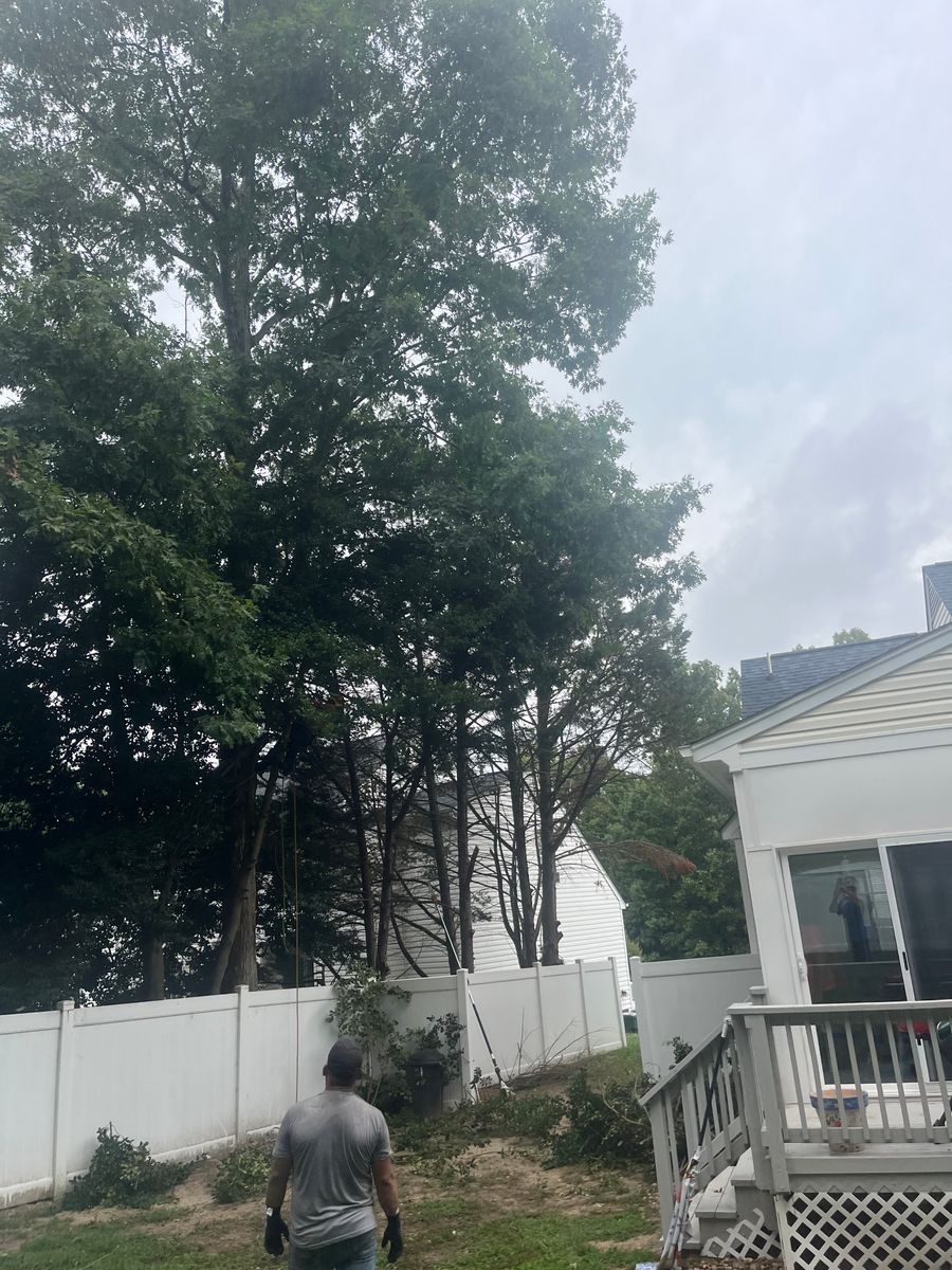 Tree Trimming for Ricky's Tree Service & Property Care in Orange, VA