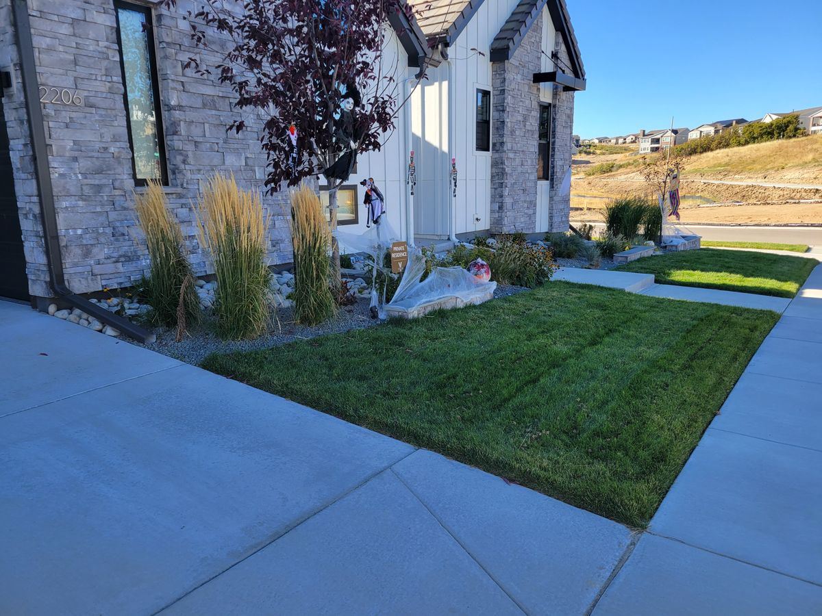 Sod Installation for JS Landscaping Colorado in Denver, CO