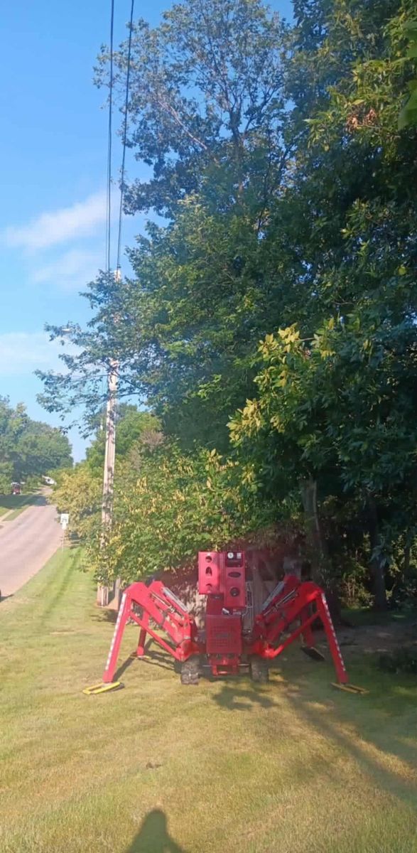 Tree Removal for Lawn Ranger Yard And Tree Service LLC in Ottumwa, IA